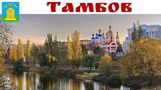 ТАМБОВ - волков уж нет, а пчёлы спят - дело к зиме