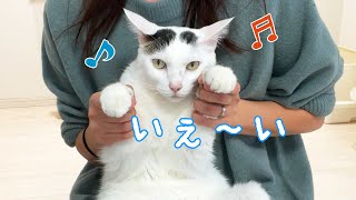 猫4匹の爪切りが余裕すぎてダンス披露会になりました