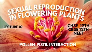 POLLEN PISTIL INTERACTION. #biology #botany #chseodisha #chse #chsebiology #biologyclass12