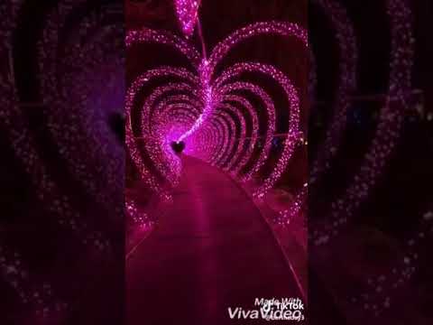 معاك هقدر امشى تامر حسني