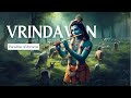 Krishna flute paradise of dreams  relaixng flute  meditation music  study relaxing music 248