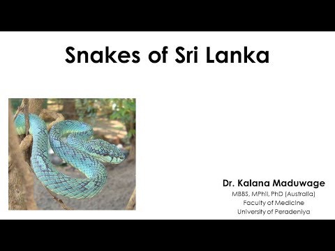 Snakebites: The whole story: (1) Snakes of Sri Lanka