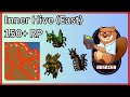 Inner Hive (East) | 150  Paladin | Tibia