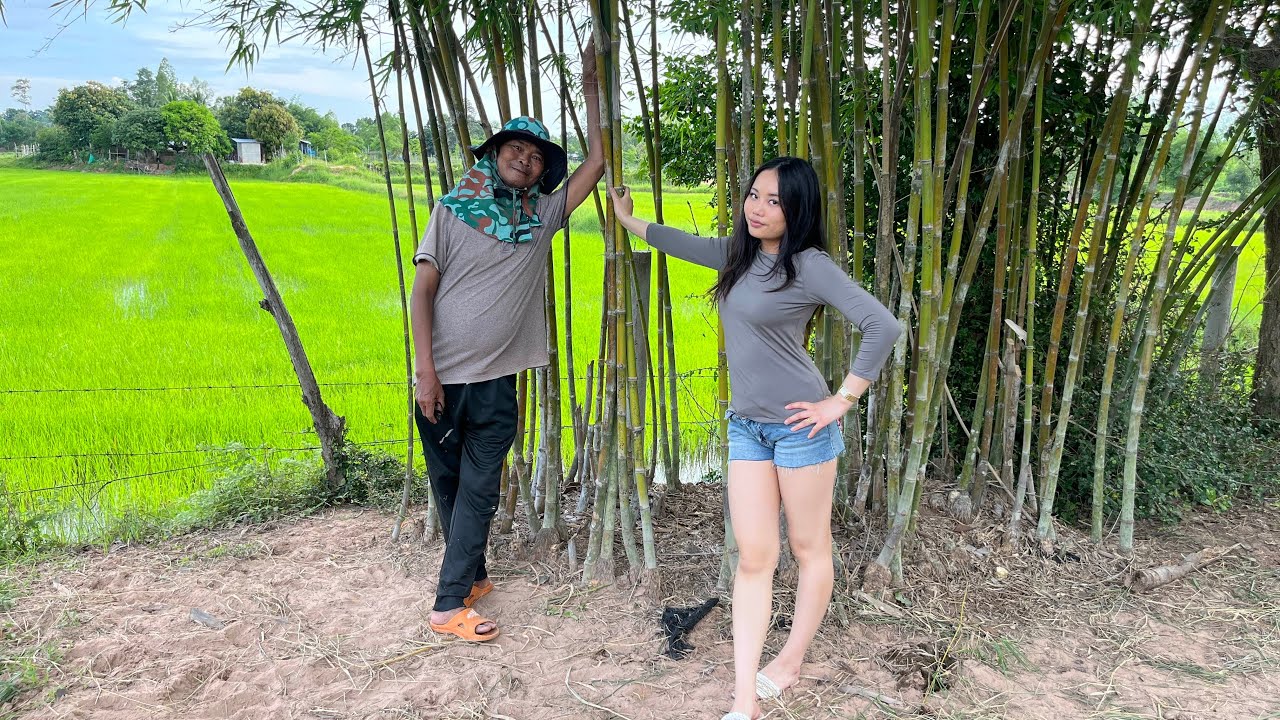 ชมทุ่งชาวนามหาสารคาม 