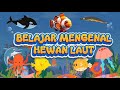 Belajar Mengenal Hewan Laut I Ikan Badut l Ikan Paus l Lumbalumba l Ikan Buntal