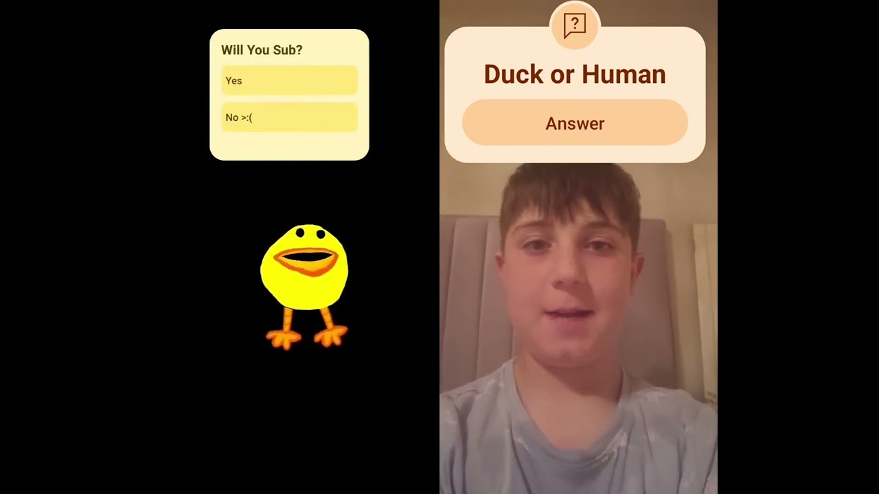 duck 
