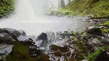 Quran Karim surat Al-Hijr سورة الحجر : بصوت القارئ سعد الغامدي