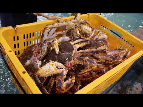 [바이킹마켓] 광어/ 킹크랩 수출과정 - video from Viking Market