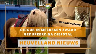 Heuvelland Nieuws: Circus in Meerssen zwaar gedupeerd na diefstal