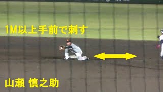 【神肩】あまりに凄い山瀬 慎之助（星稜 -巨人）の2塁送球〜読売ジャイアンツ