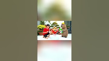 Capybara cùng anh giúp bà tắm cho Pipi Strawberry và cái kết #capybara