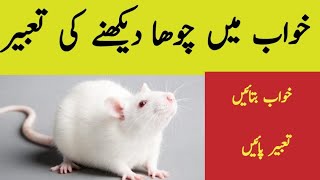 Khawab Mein Chooha Dekhna | Islamic Dream Interpretation | Ibn e Sirin & Imam Sadiq as