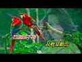 夢想一天 黎瑞恩 歌手演唱版 夢想一天 黎瑞恩 歌手演唱版