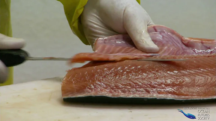 Farmed Salmon: Unhealthy and Unsustainable