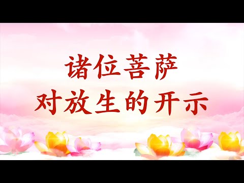 卢台长【节目录音+字幕】诸位菩萨对放生的开示