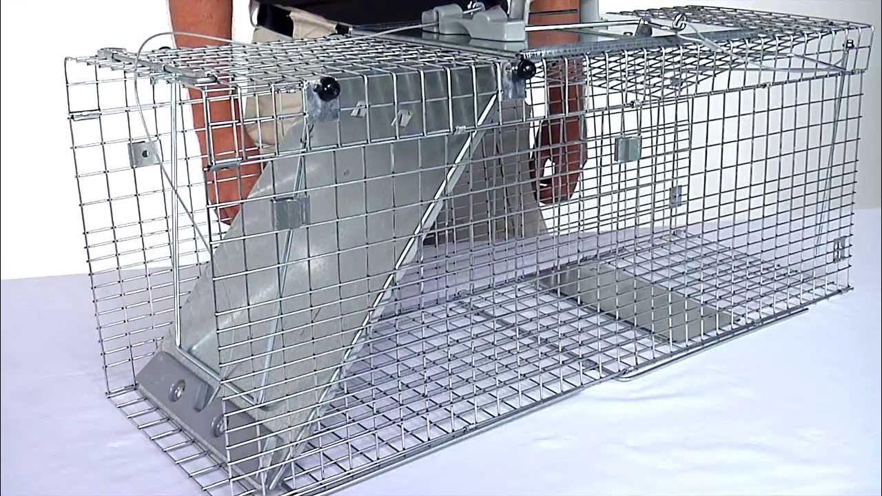 How to Set: Havahart® Feral Cat Trap Model #1099 