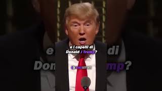 Donald Trump Difende Il Figlio