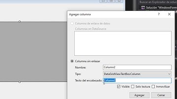 Trabajando Con DataGridView 1/2