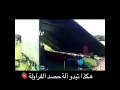 الة حصد الفراولة