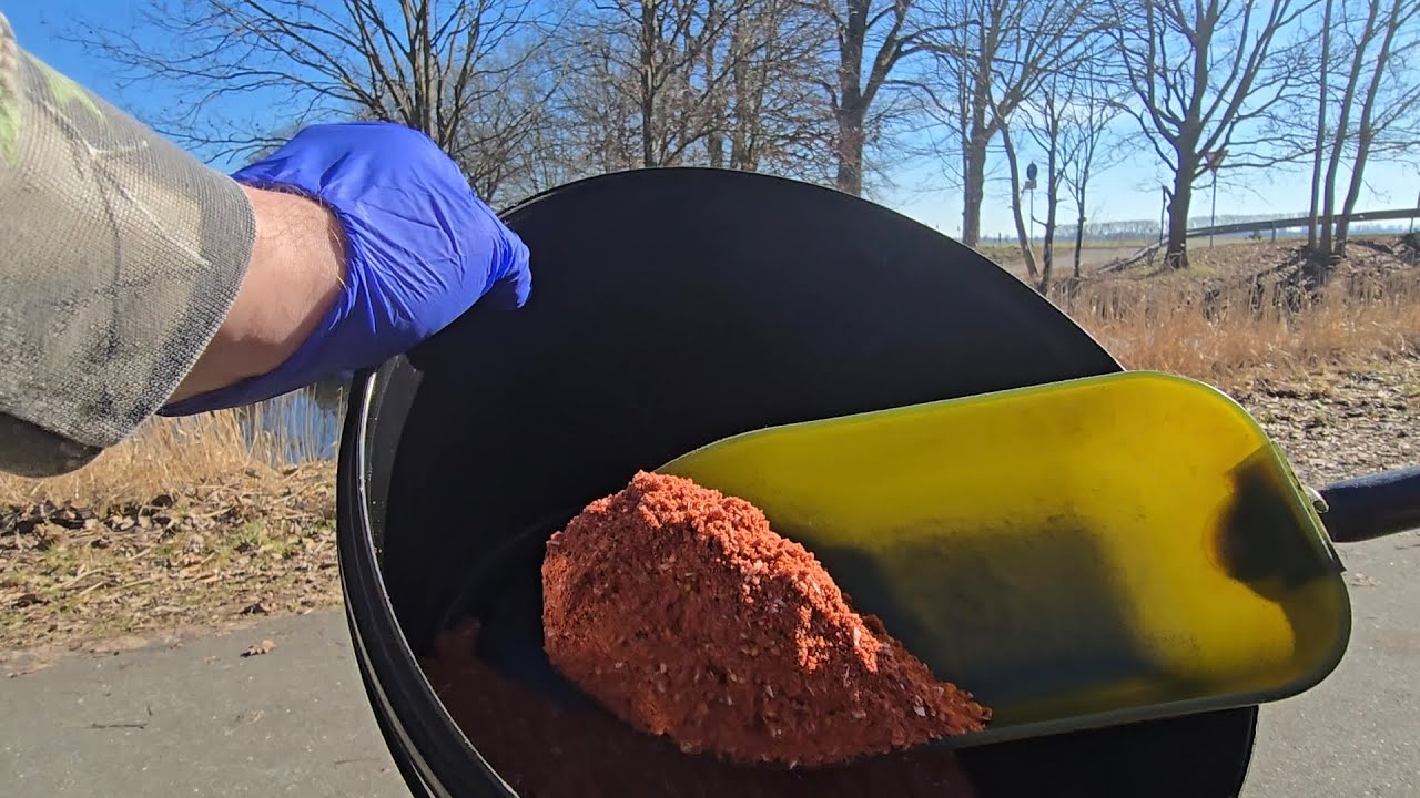 Graben Döbel angeln funktioniert es schon mit futter ? #fishing #fishingvideo 