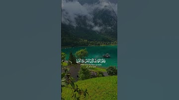 القارئ  : عامر السعيدي💐