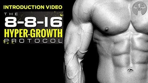 The 8/8/16 Workout (INTRO) Complete Muscle Building Program