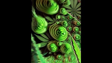 Stable Diffusion Ai Animation - Jungle of Eden