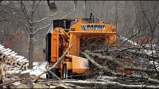 Amazing Wood Chipper Machines Working Skill - Fast Tree Shredder Machines Easy