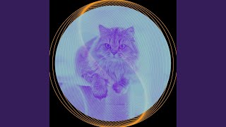 Understated Backdrops for The Happy Cats