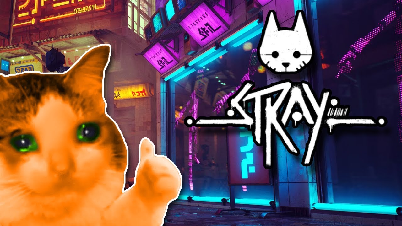 Opinião: Stray tenta, mas não é o jogo de gato definitivo - Neo Fusion