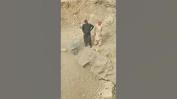 قهرمانهای گروه میچید درحال کار 