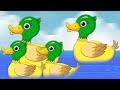 خمسة البط قليلا فيديو اطفال أغنية للأطفال      