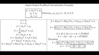input output feedback linearization Wealth