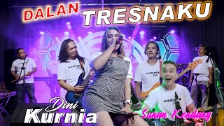 Dini Kurnia - DALAN LIYANE Karunia Music