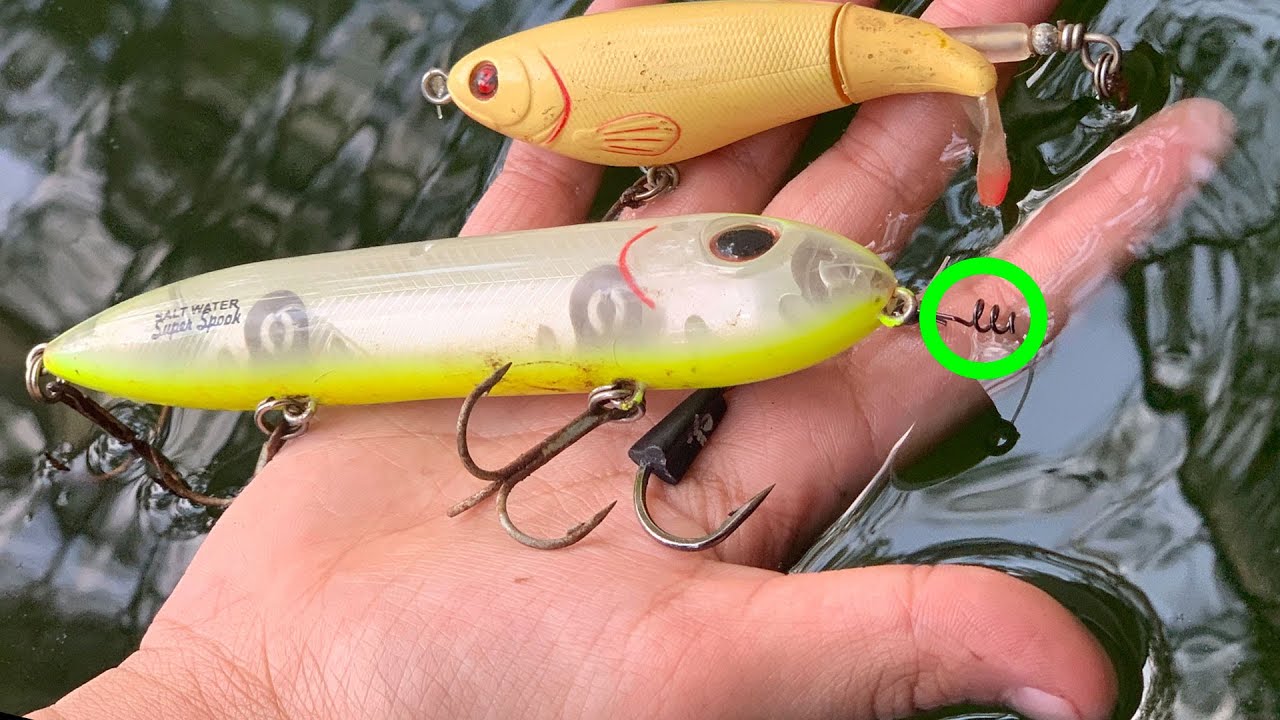 WEEDLESS TOPWATER FISHING SECRET for Bass Fishing - KastKing