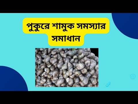 প ক র শ ম ক সমস য র সম ধ ন প ক র শ ম ক ন ধন র উপ য How To Control Snail In Pond