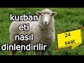 KURBAN ETİ NASIL DİNLENDİRİLİR