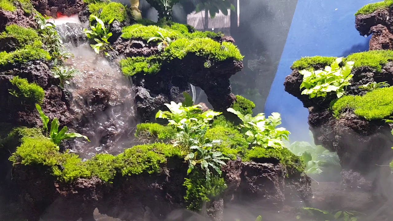 Paludarium