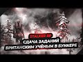 Сдача Заданий Британским Учёным в Бункере  🔥  S.T.A.L.K.E.R. RP 🔥 call of the zone