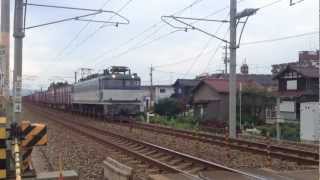 日本海縦貫線貨物列車3091レ 牽引機：EF81 453