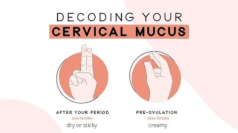 Decoding the Billings Ovulation Method - No Ovulation Tests Needed