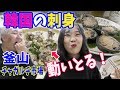 【釜山旅行】王道チャガルチ市場の刺身屋でコース食す。