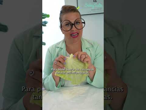 Video: ¿Las hojas de col detienen la producción de leche?