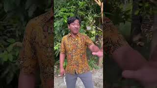 Please Help Me With Your Bread Lol short