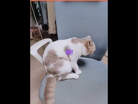 우왕얼굴이 길어진당