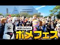 【可愛い】ポメラニアンフェスに潜入したら天国だった件