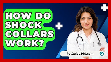 How Do Shock Collars Work? - PetGuide360.com