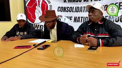 Job Sikhala, leader of National Democratic Working Group (NDWG), youth movement leader