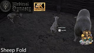 Medieval Dynasty Sheep Fold, 4K Ep28