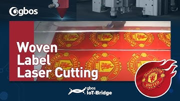 Camera label laser cutting two working table with safety device-CCD series GNM1080CCD